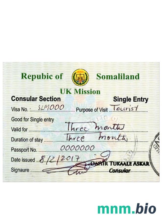 Somaliland wiza turystyczna przykład w PSD